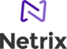 netrix logo.png